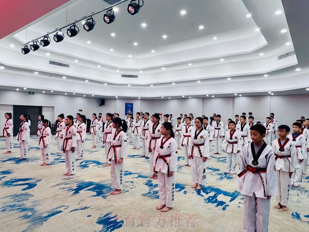 中国跆拳道协会推动“警体融合”